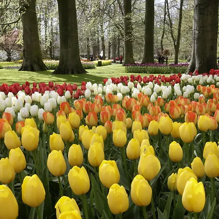 منتزه العطل Europarcs Noordwijkse Duinen 3*