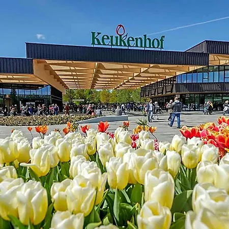Europarcs Noordwijkse Duinen Holiday park 3*