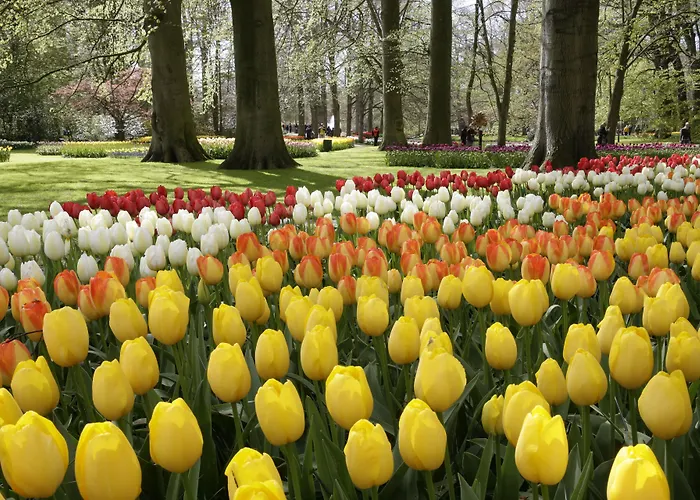 منتزه العطل Europarcs Noordwijkse Duinen 3*